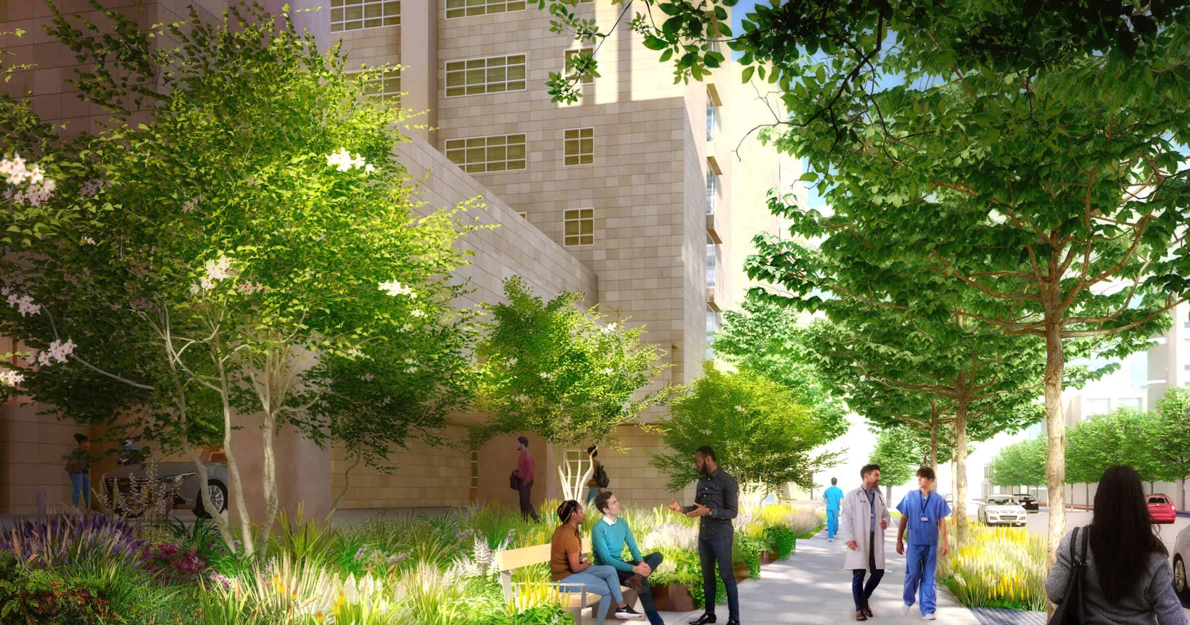 digital rendering of tree lined pathway outside hospital