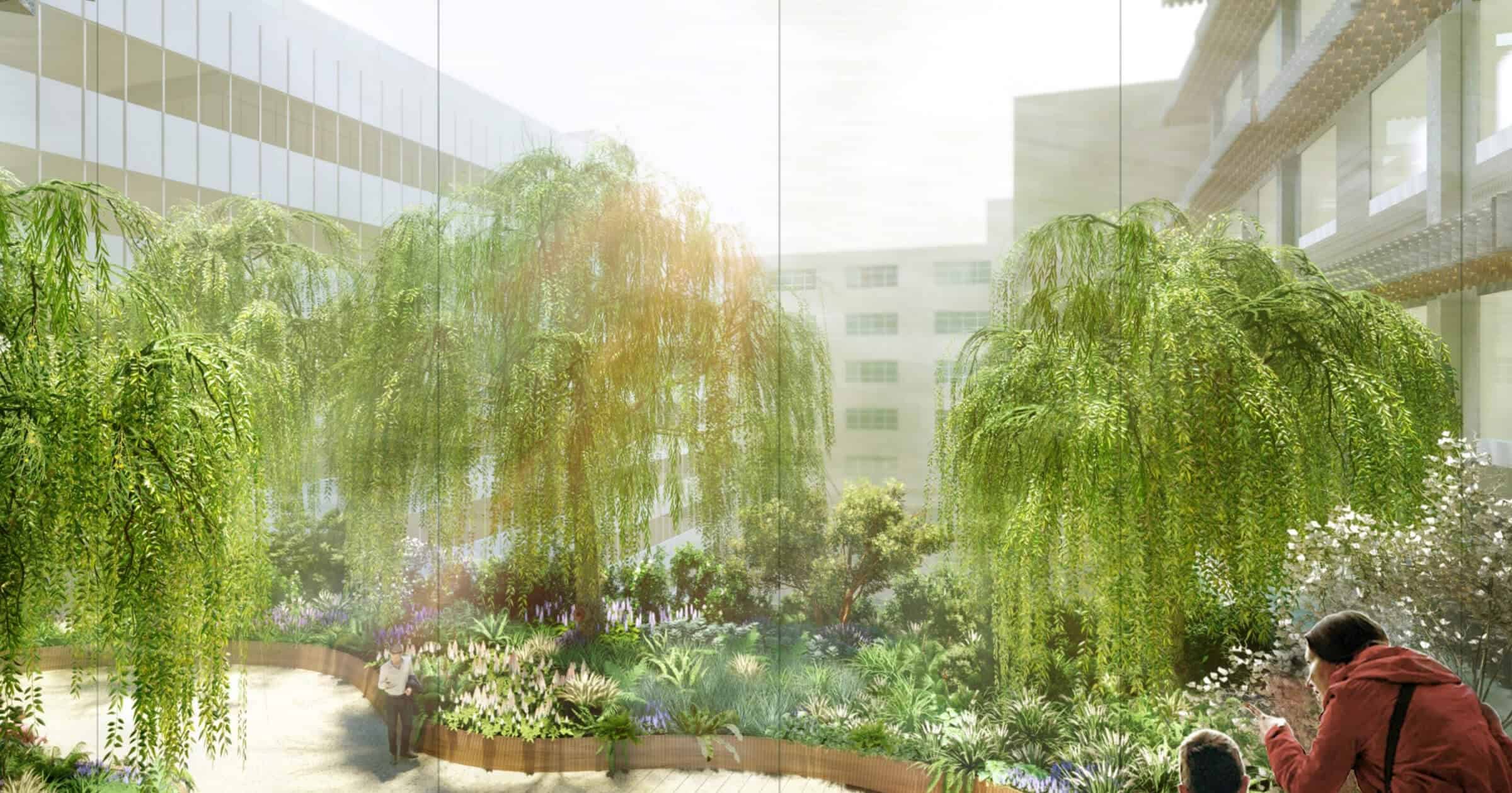 Rendering of green space at hospital as seen through large windows